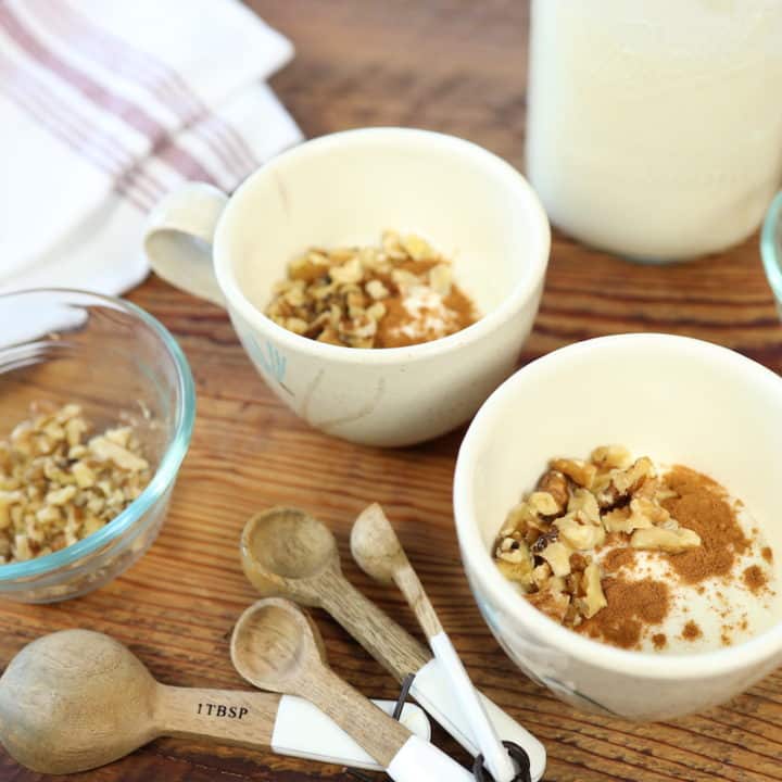 closeup of homemade yogurt cup with nuts and cinammon
