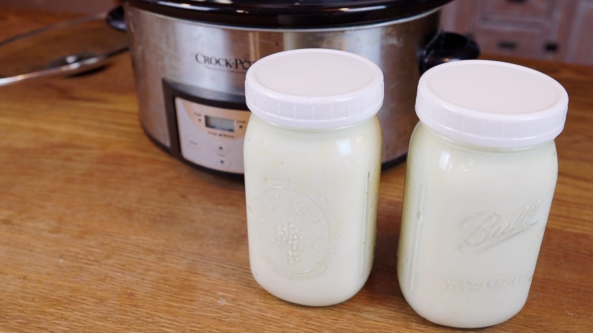 two jars of homemade crockpot yogurt