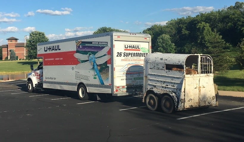 uhaul pulling livestock trailer