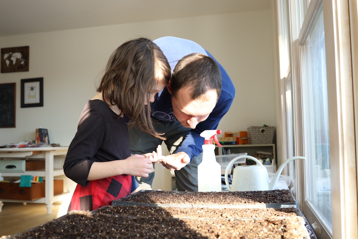 planting seeds indoors with kids