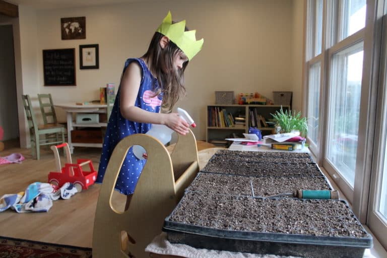 Starting Seeds Indoors Without Grow Lights From Scratch Farmstead