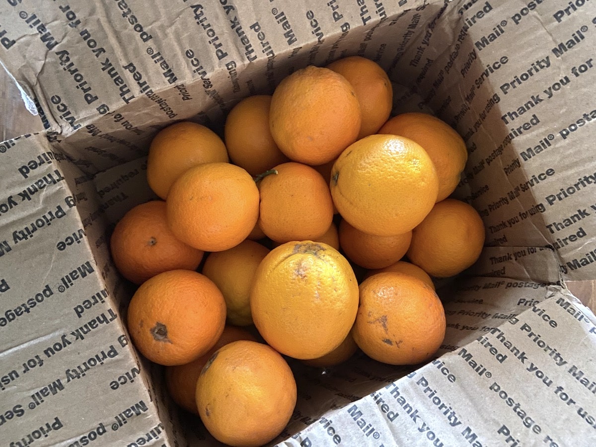 box of organic california oranges
