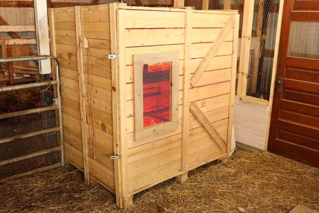 large crate turned into brooder