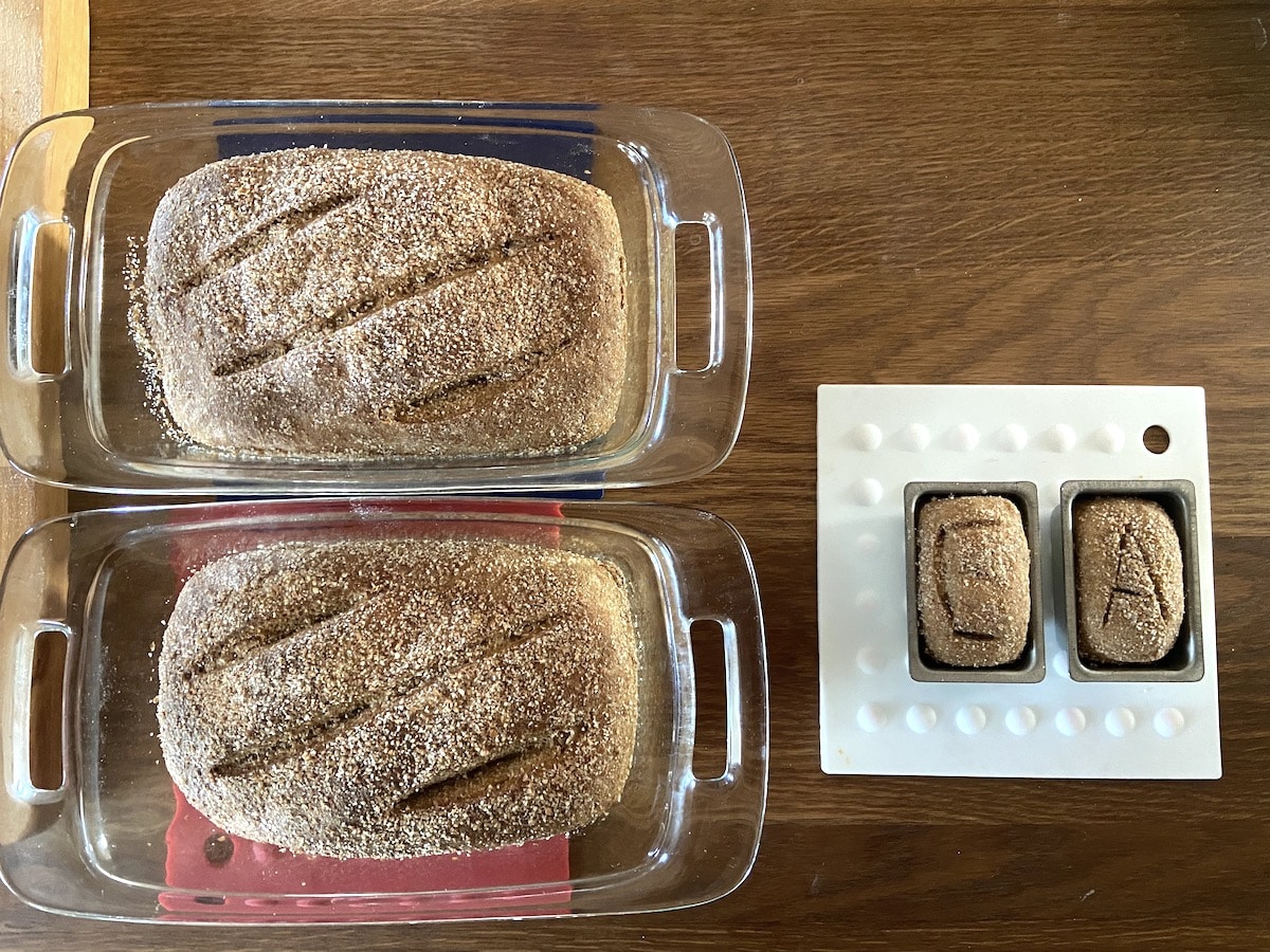 sourdough bread and mini loaves