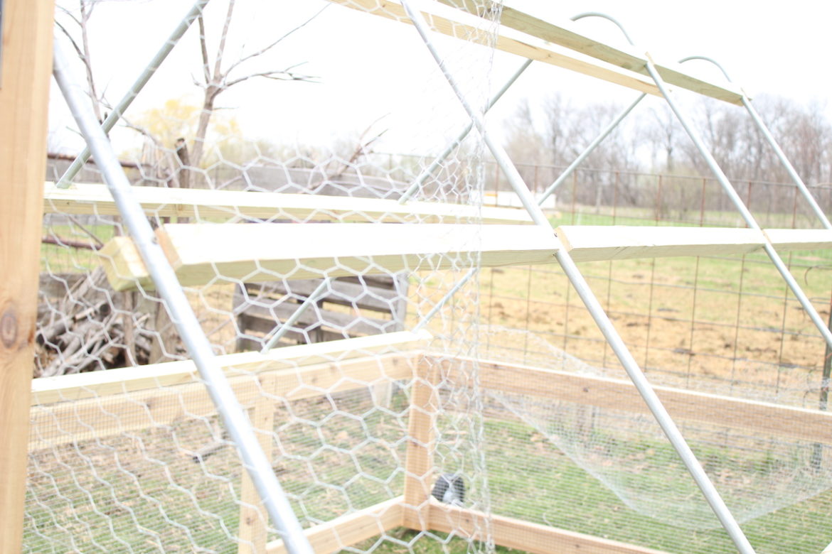 Chicken Tractor Plans for 25 Chickens From Scratch Farmstead