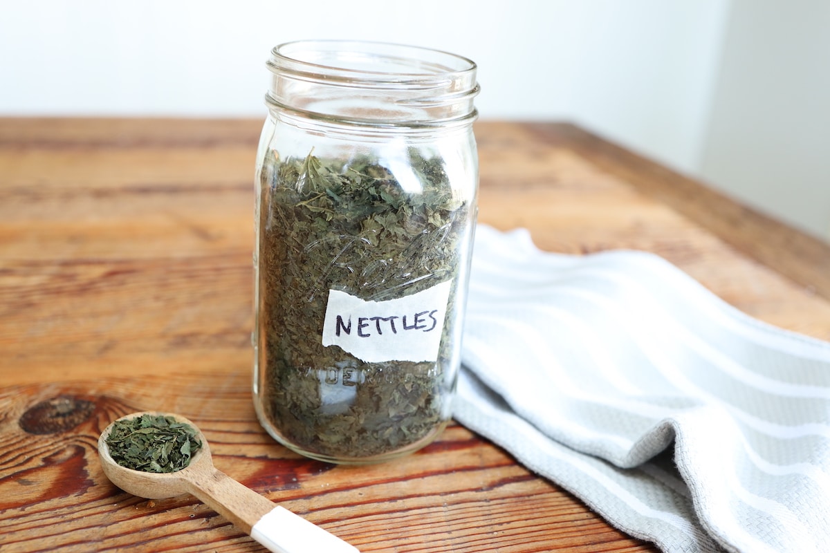 dried nettle leaves stored in jar