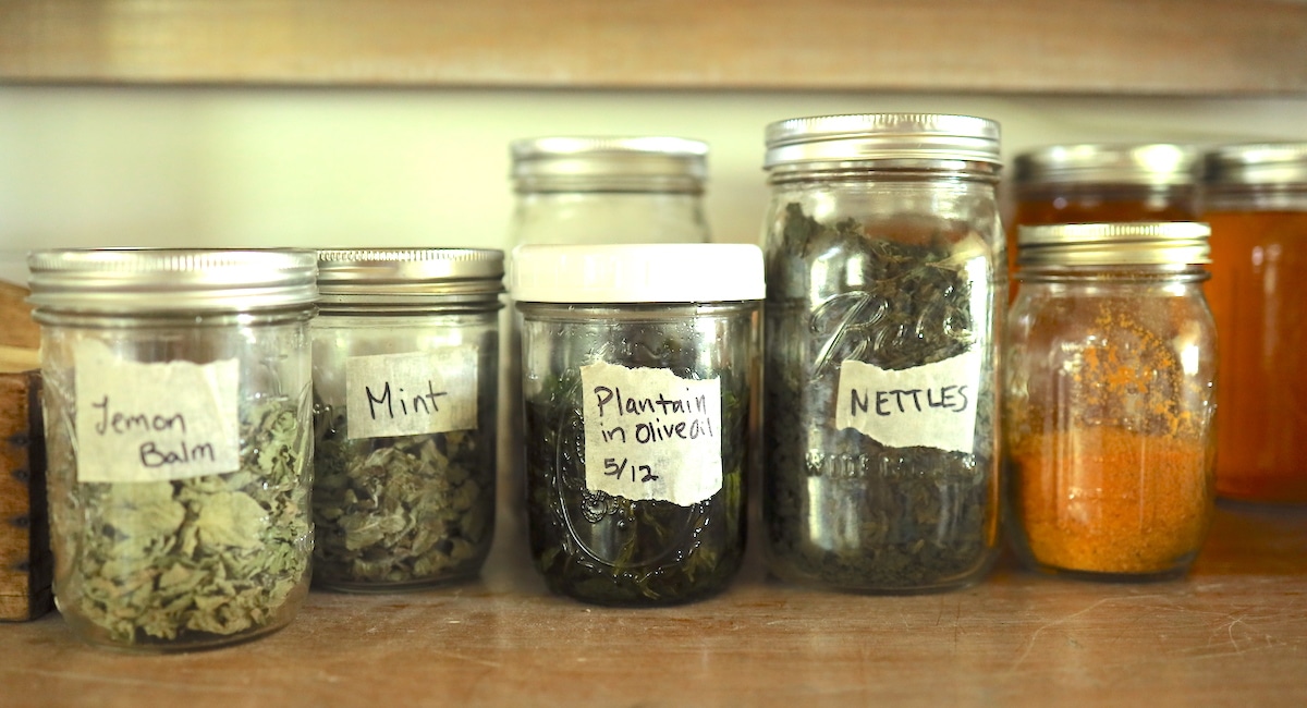 herbs we use in the kitchen