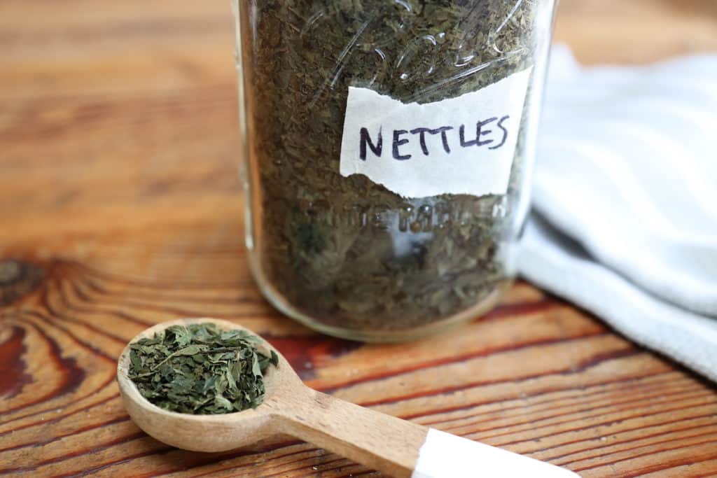 jar of dried nettle leaves
