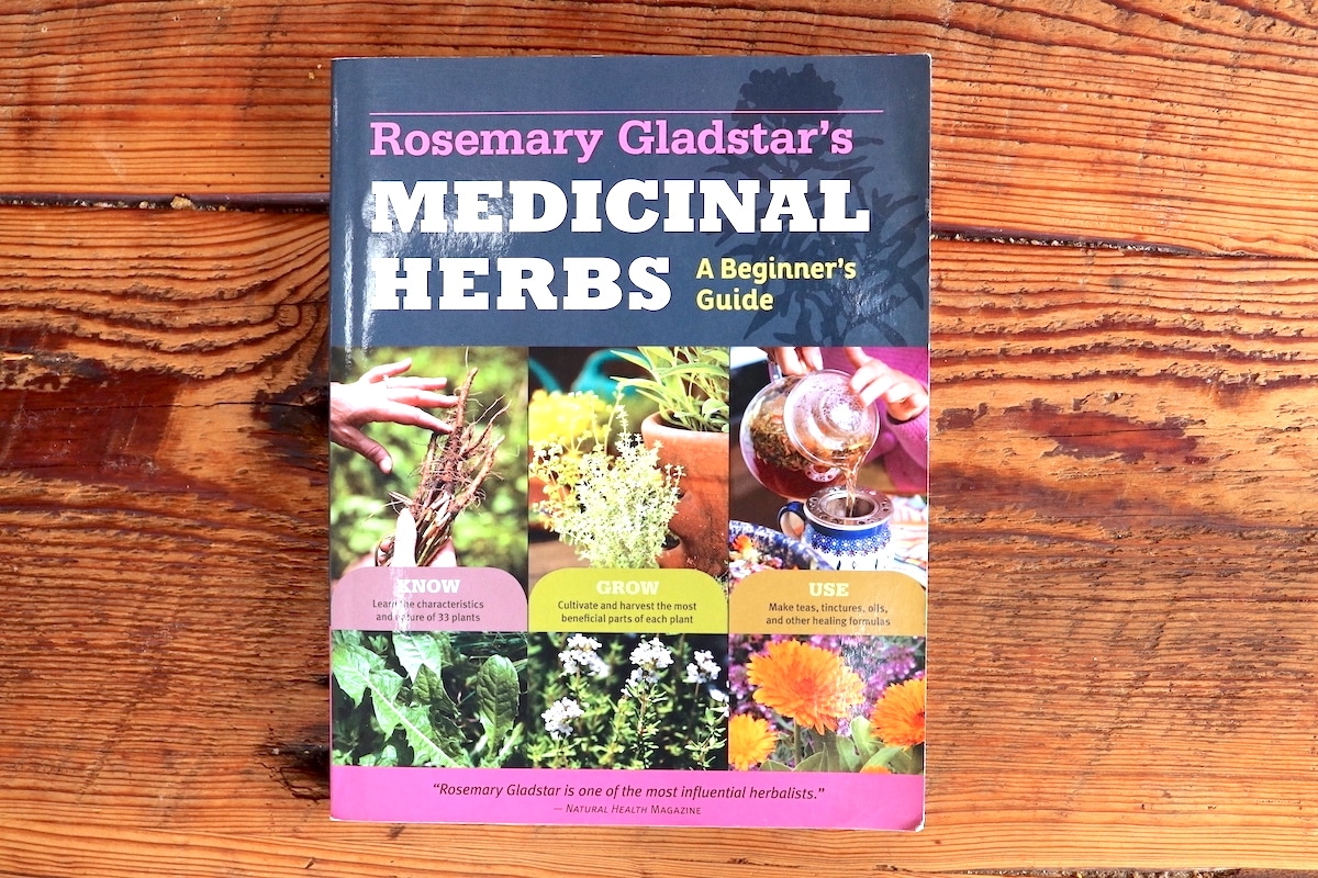 medicinal herbs a beginners guide