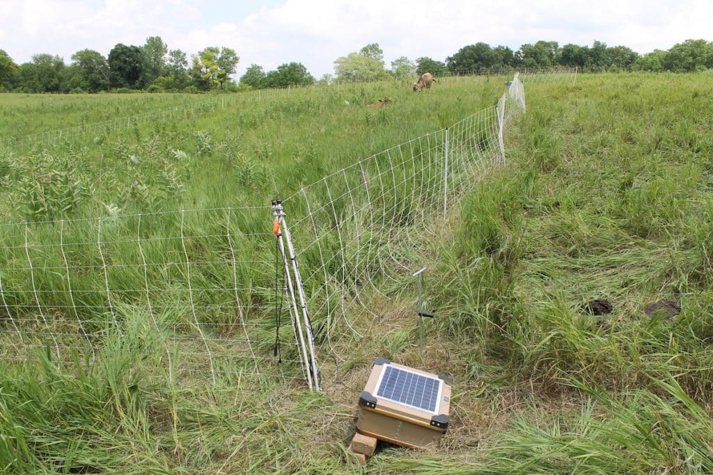 rotational grazing with solar energizer