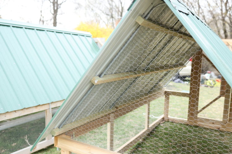 Chicken Tractor Plans for 25 Chickens From Scratch Farmstead