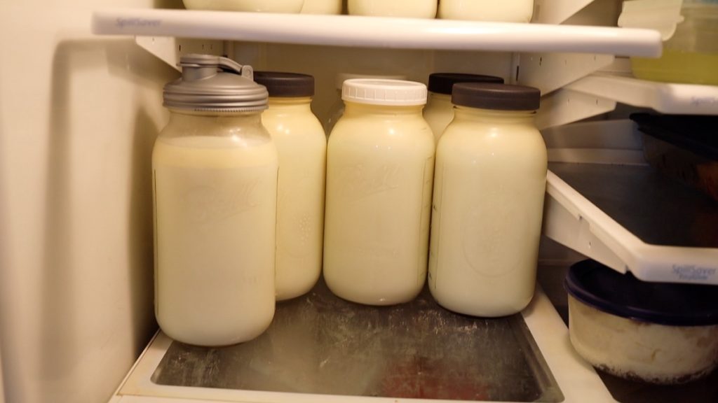 fresh cows milk in jars in fridge