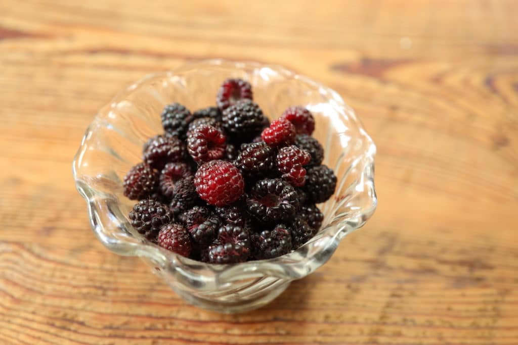 bowl of freshly picked blackberries