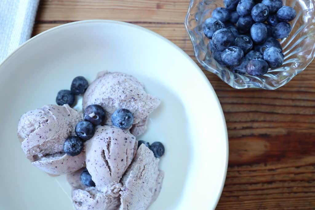 homemade fresh blueberry ice cream