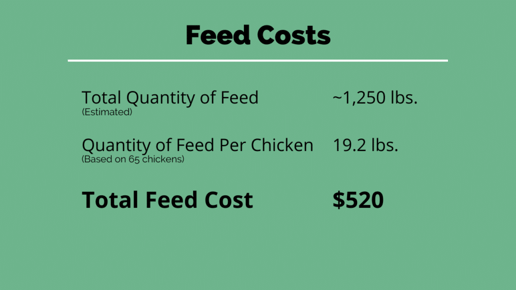 meat chicken feed costs