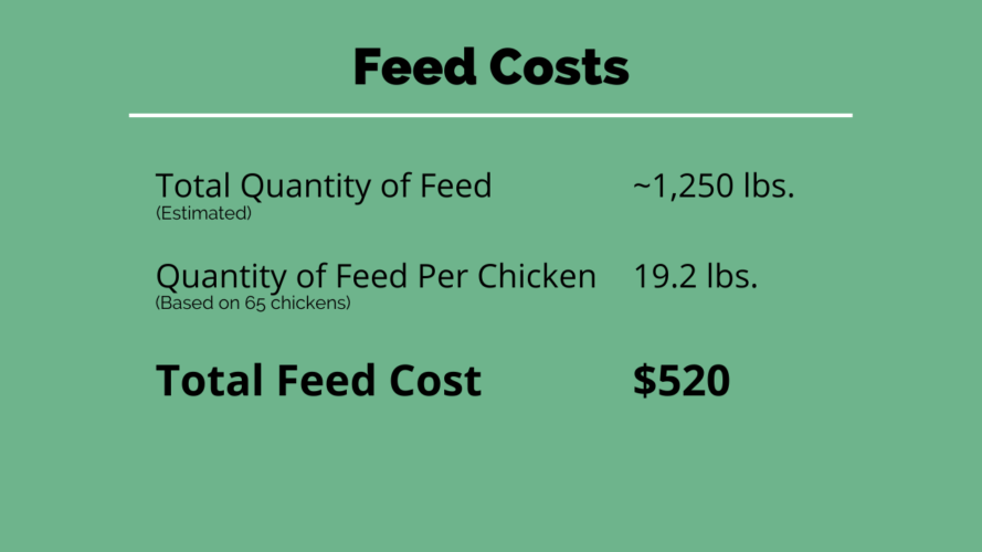 Cost of Raising Chickens for Meat on a Small Scale From Scratch Farmstead