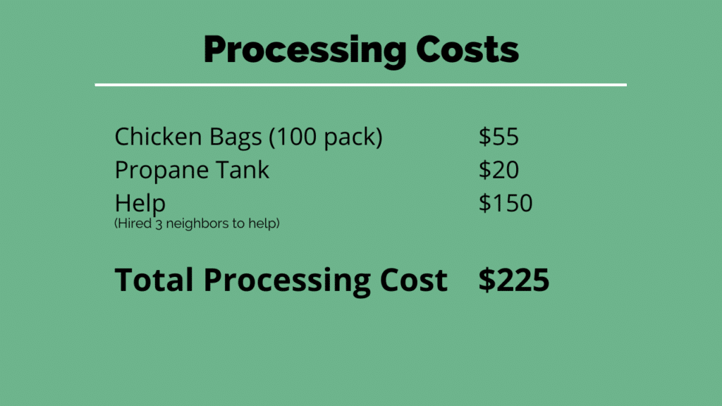 meat chicken processing costs