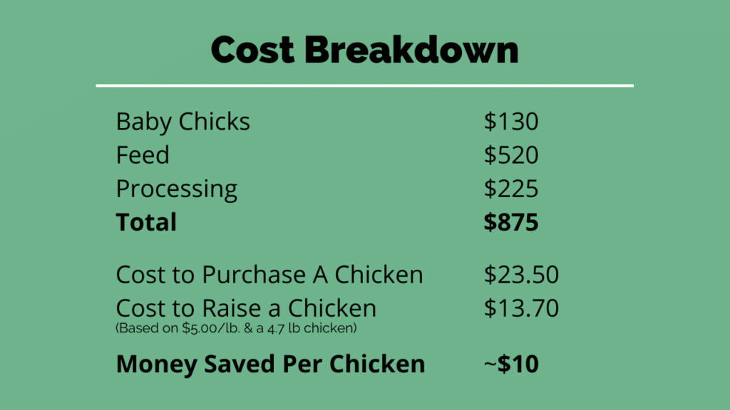 meat chicken total cost breakdown