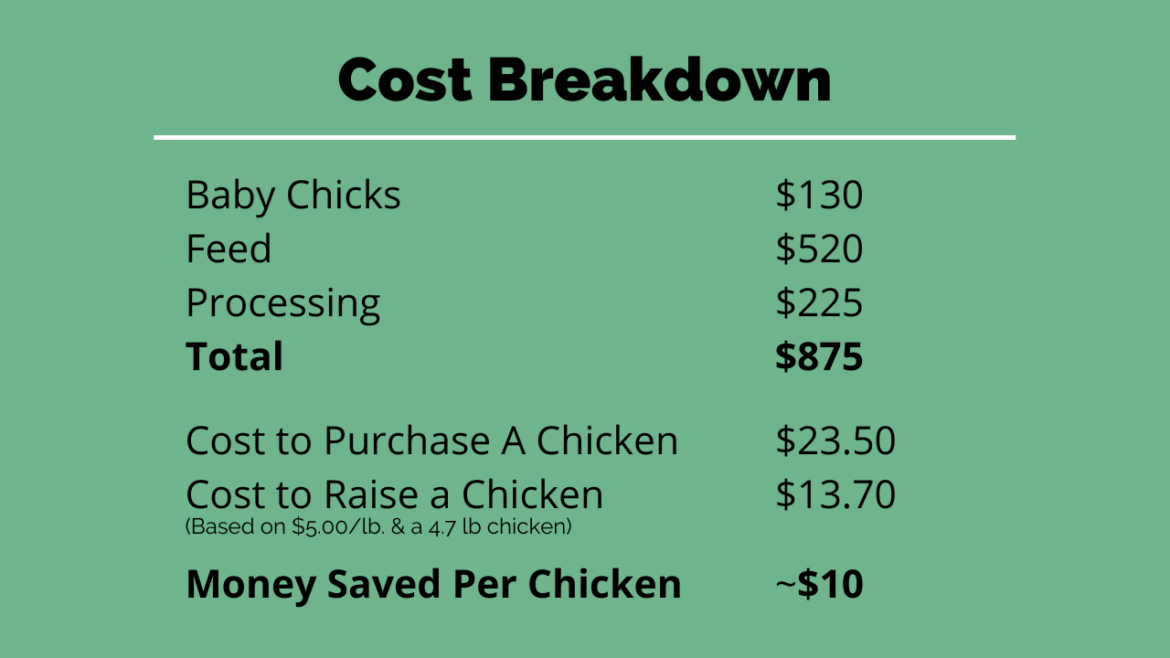 Cost of Raising Chickens for Meat on a Small Scale From Scratch Farmstead