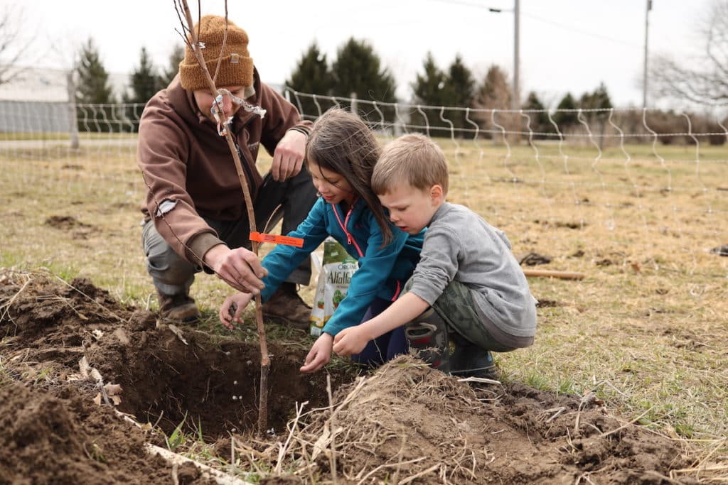 planting fruit trees with kids