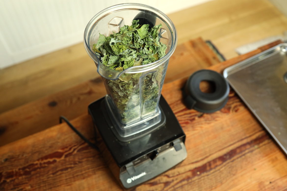 How To Make Kale Powder With Or Without A Dehydrator From Scratch   Destemmed Kale Leaves In Blender  1170x780 