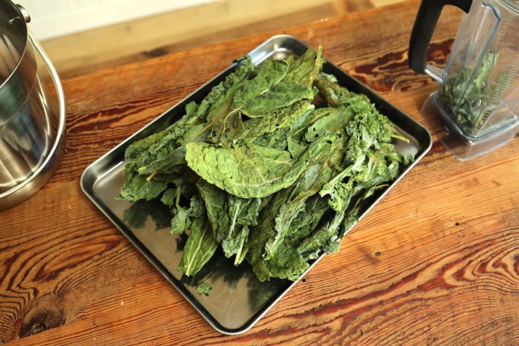 dried kale leaves ready to be blended