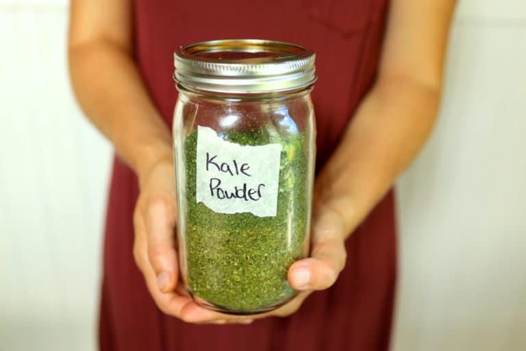 How to Make Kale Powder With or Without a Dehydrator