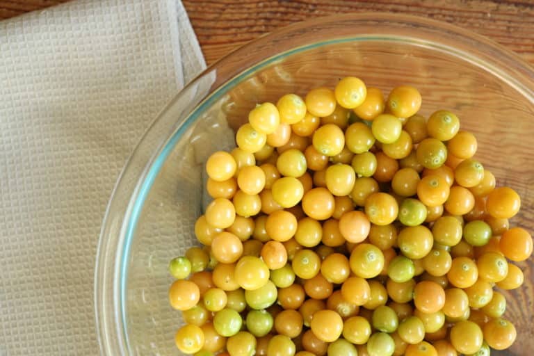 Ground Cherry Recipes – 15 Ways to Use or Preserve