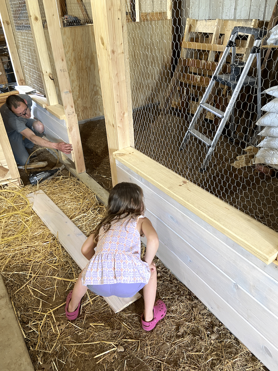 finishing siding on barn chicken coop