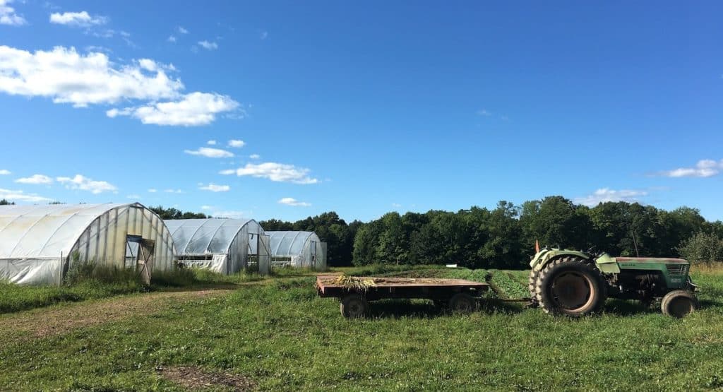 greenhouses and tractor on organic farm