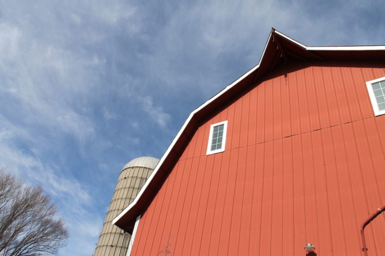 Buying A Homestead Archives From Scratch Farmstead