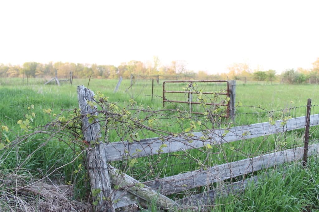 rundown farm fence