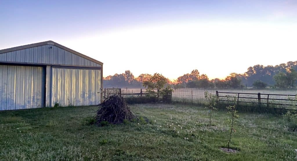sunrise on the farmstead