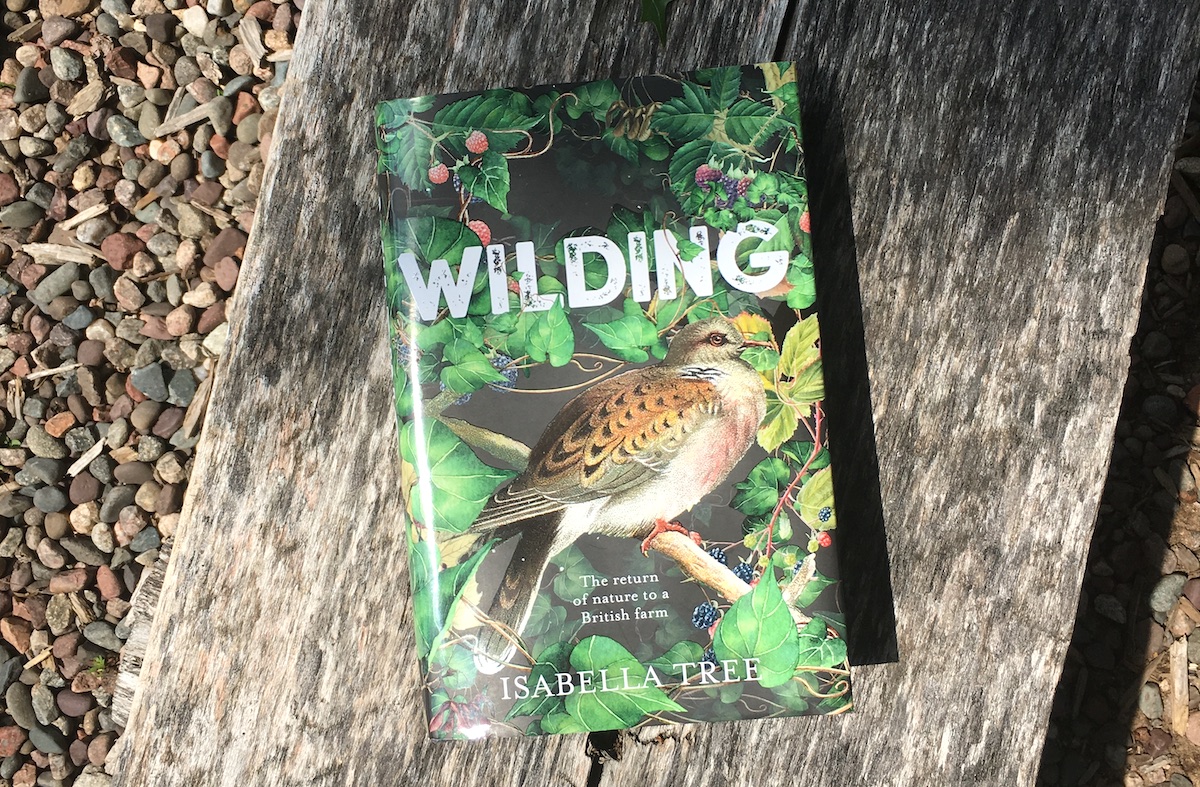 wilding by isabella tree
