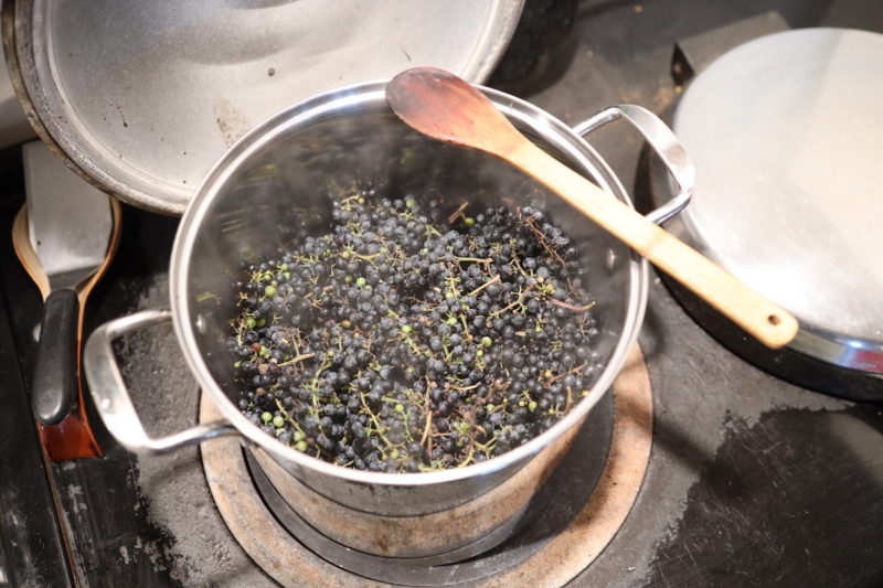 Can You Eat Wild Grapes? 5 Ways to Use Them From Scratch Farmstead