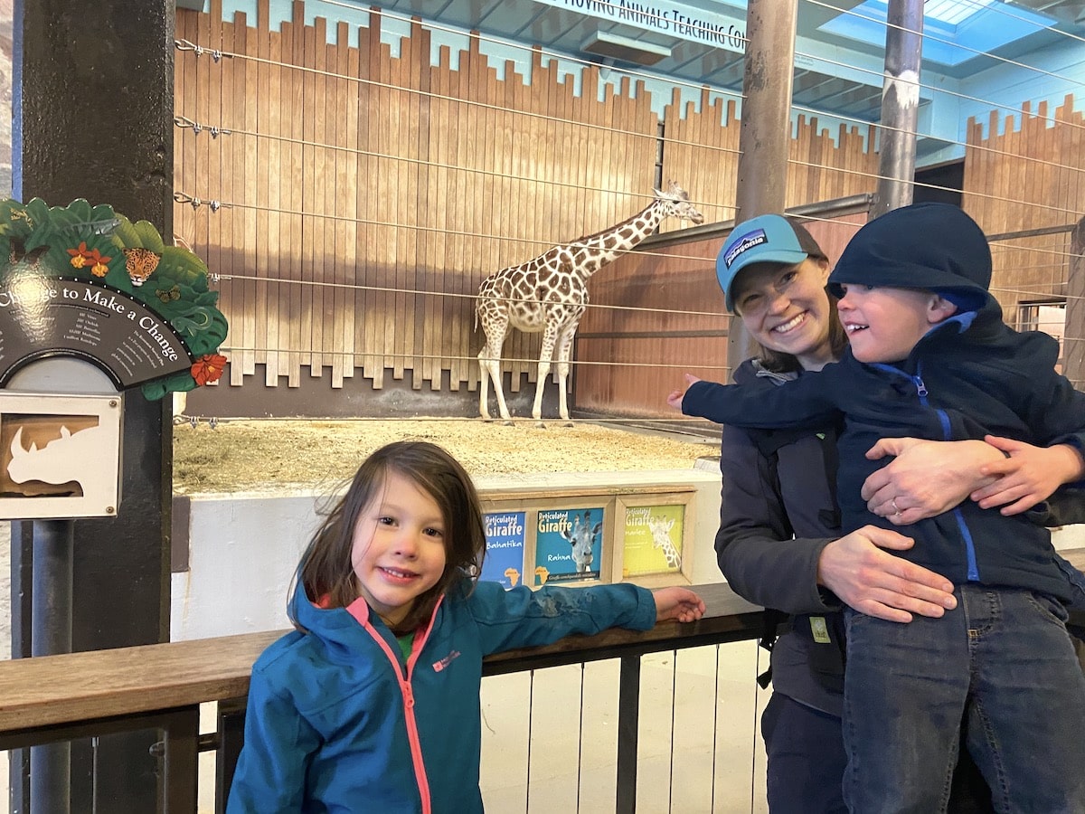 hanging out with giraffes at the zoo