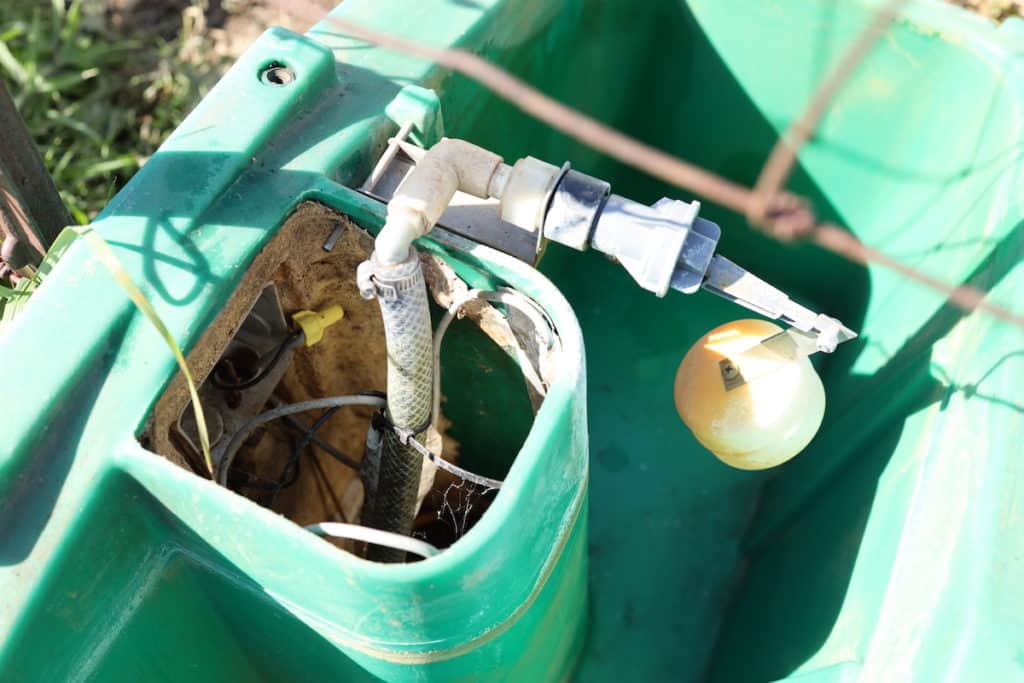 waterline and wiring on jug waterer