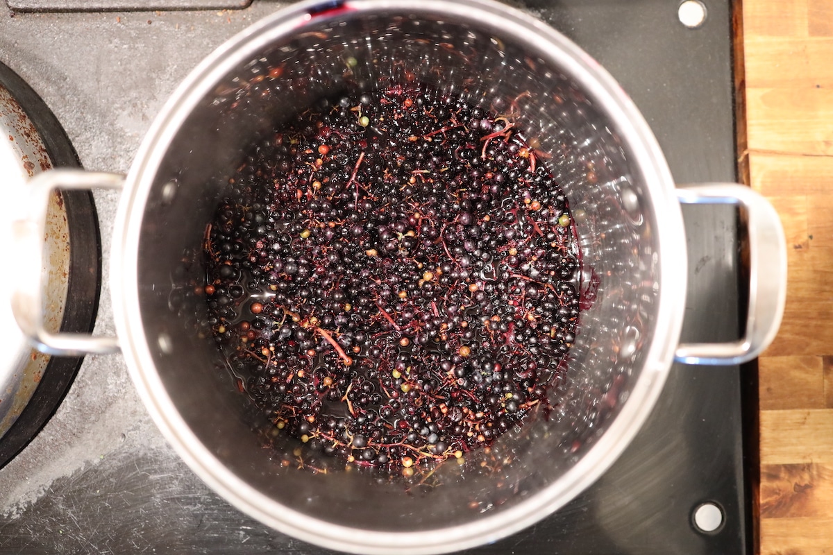 wild grapes cooked down to make juice