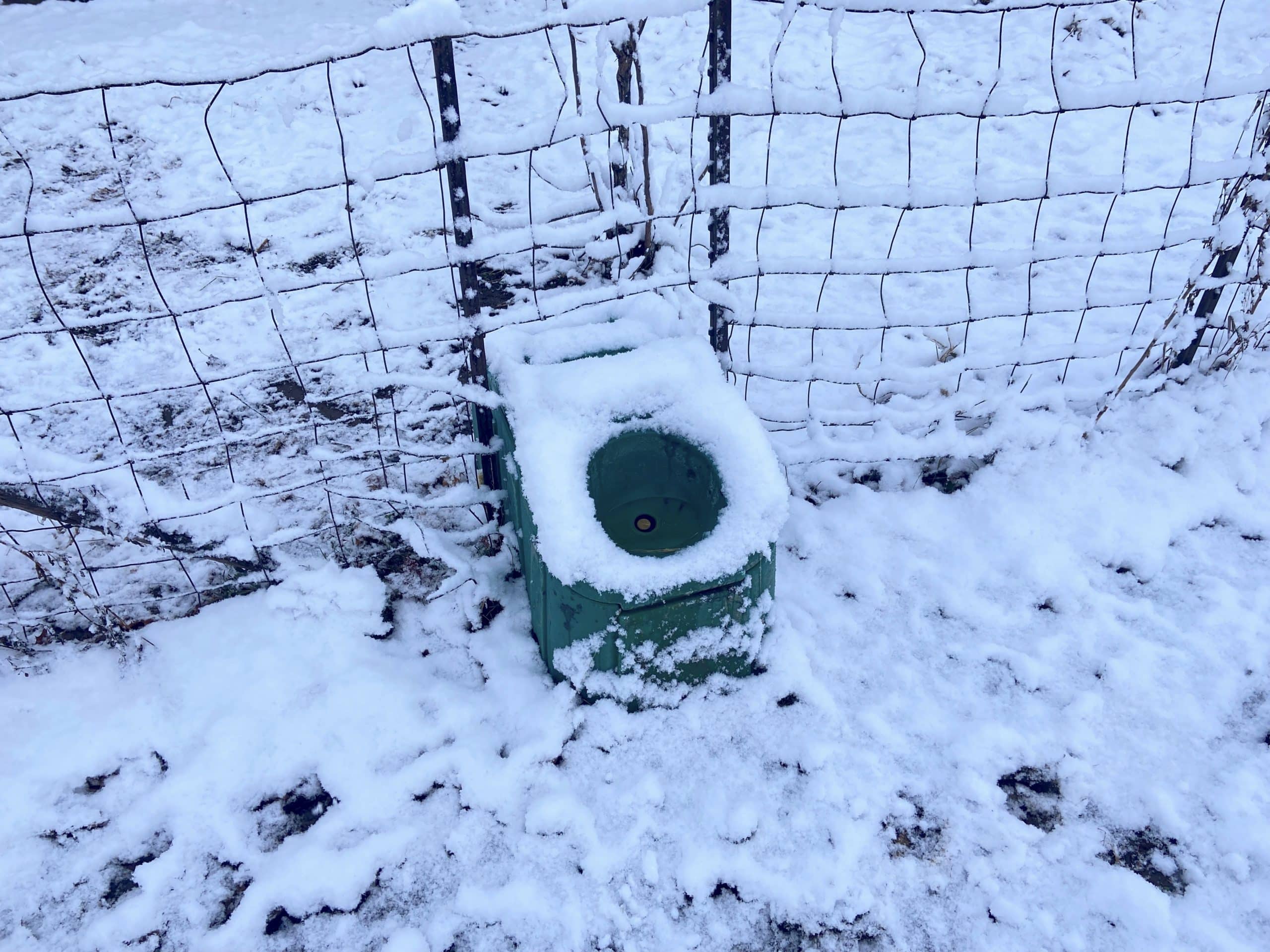 heated automatic jug waterer in winter