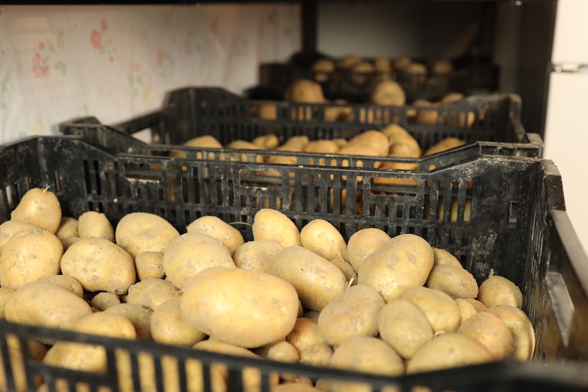 How to Store Potatoes - Best Way to Keep Potatoes Fresh