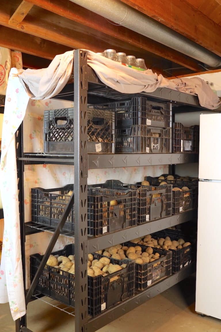 How To Store Potatoes From The Garden Long Term From Scratch Farmstead   Long Term Potato Storage System In Basement 768x1152 