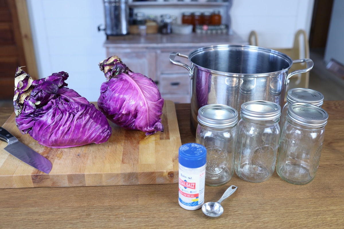 how to make red cabbage sauerkraut at home