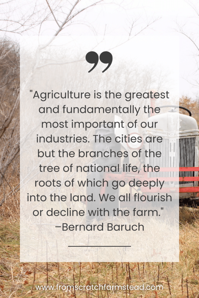 Bernard Baruch - Homesteading Quotes