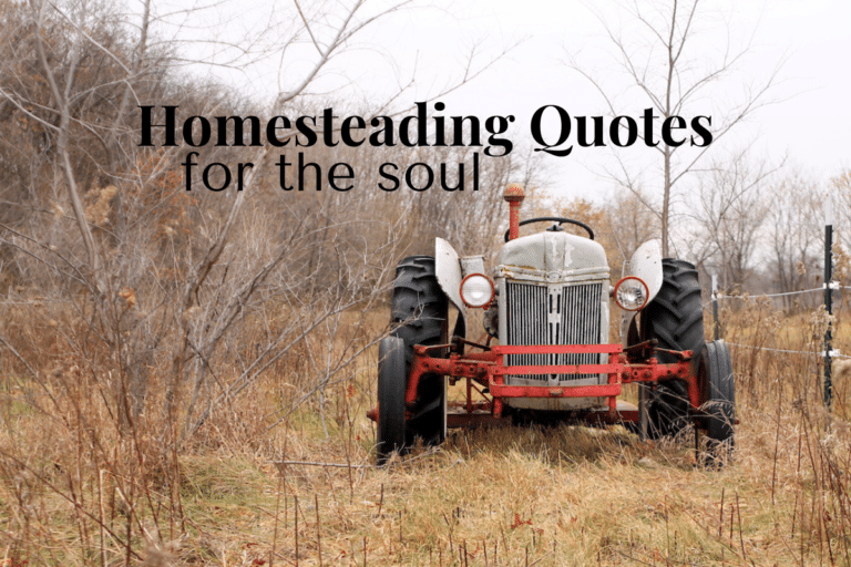 25 Homesteading Quotes To Empower And Inspire