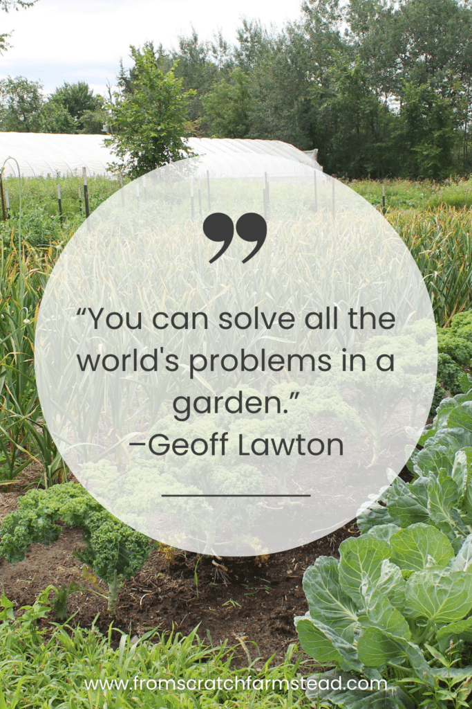Geoff Lawton - Homesteading Quotes