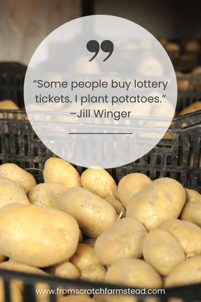 Jill Winger - Homesteading Quotes