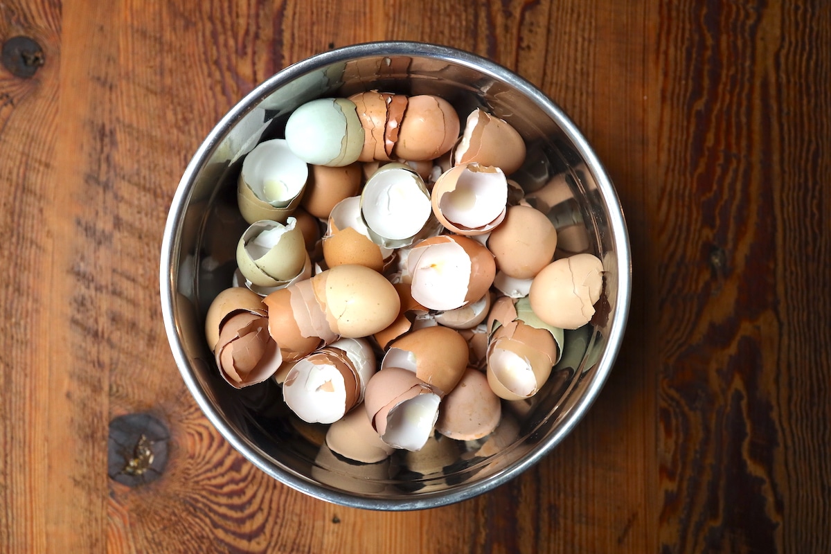 collected eggshells for making eggshell powder