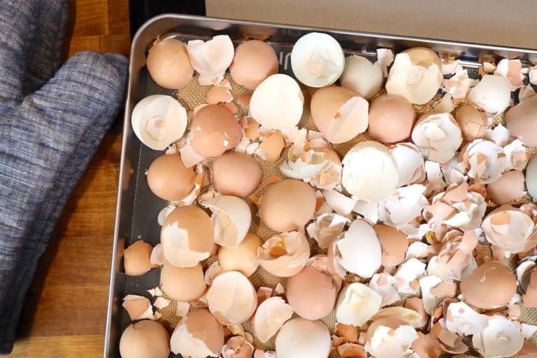 How To Make Eggshell Powder From Scratch Farmstead