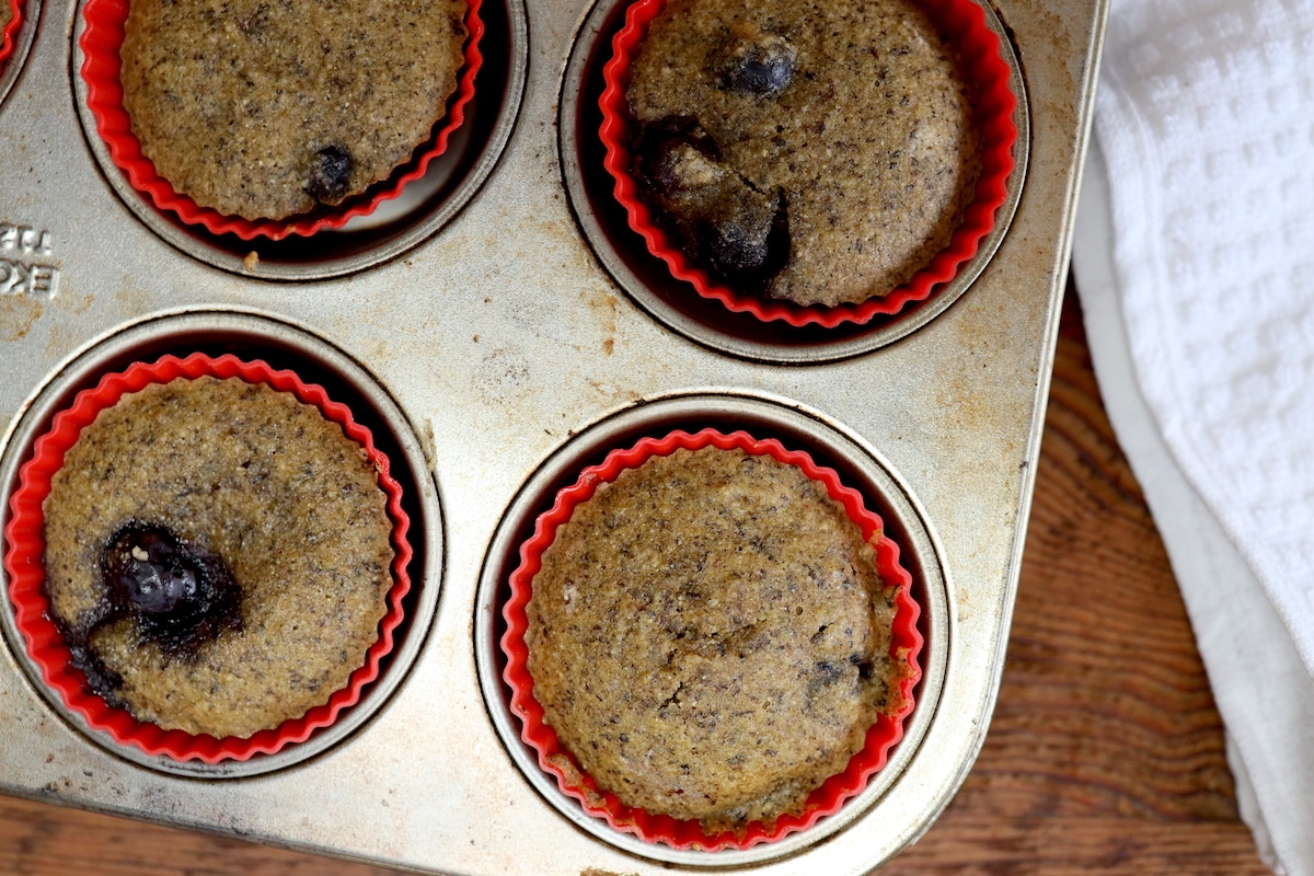 gluten free blueberry buckwheat muffins