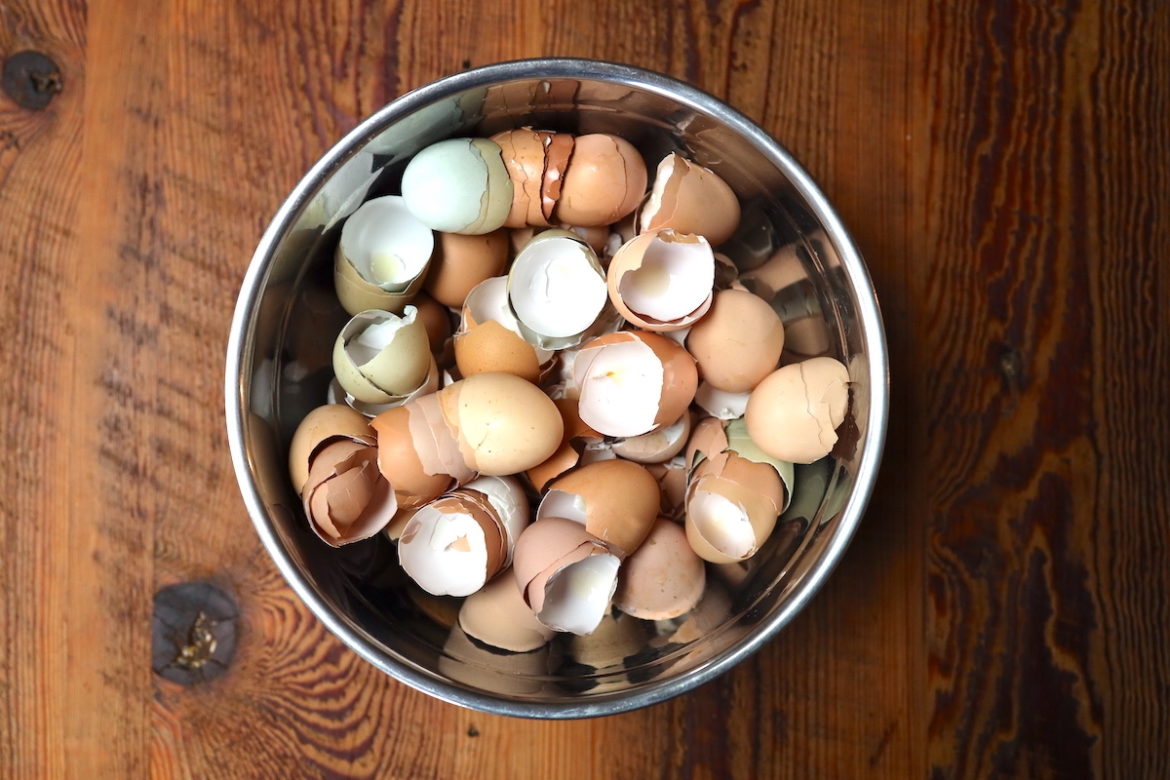 Feeding Chickens Egg Shells (Why, When, & How) From Scratch Farmstead
